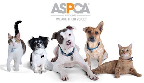 aspca charity rating 2023|American Society for the Prevention of Cruelty to Animals charity .